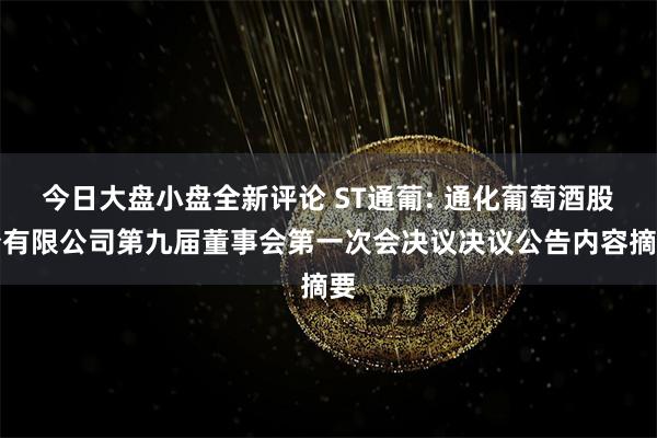 今日大盘小盘全新评论 ST通葡: 通化葡萄酒股份有限公司第九届董事会第一次会决议决议公告内容摘要