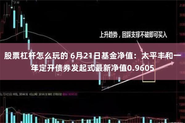 股票杠杆怎么玩的 6月21日基金净值：太平丰和一年定开债券发起式最新净值0.9605