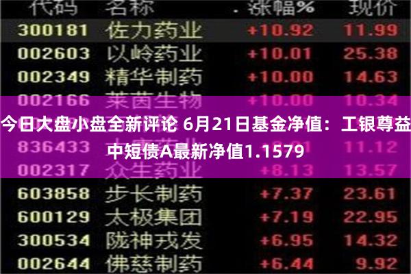 今日大盘小盘全新评论 6月21日基金净值：工银尊益中短债A最新净值1.1579