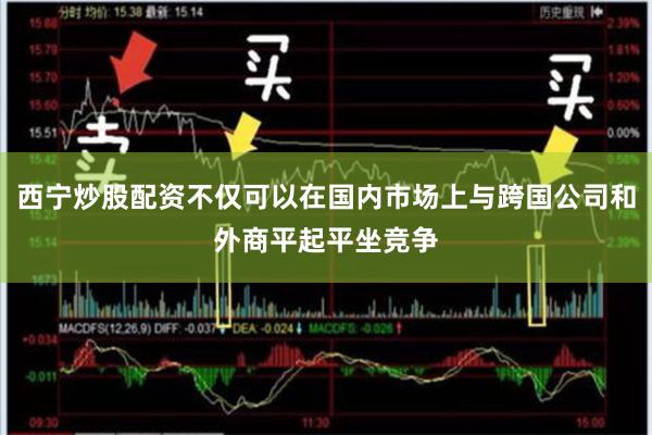 西宁炒股配资不仅可以在国内市场上与跨国公司和外商平起平坐竞争