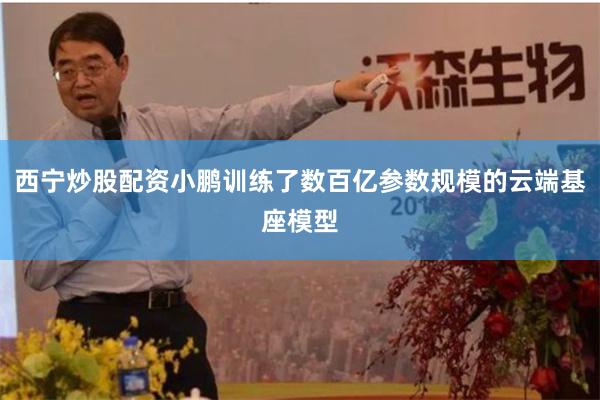 西宁炒股配资小鹏训练了数百亿参数规模的云端基座模型